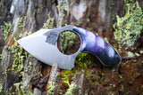 Baby Shark - Purple Splatter