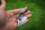wasp baby shark #3