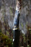 Drop point with x ray handle