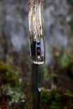 Drop point with x ray handle