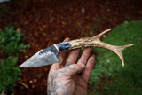 Drop point with x ray handle