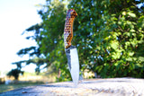 wasp hive tracer