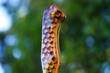 wasp hive tracer