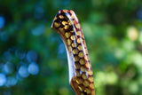 wasp hive tracer