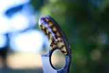 Wasp hive mako