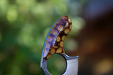 Wasp hive mako