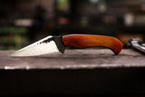 the rogue with chakte viga handle