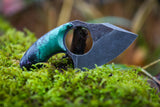Mako- Forest green