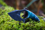 Mako- Teal and blue