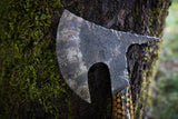 wasp hive and moss hawk