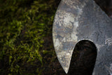 wasp hive and moss hawk