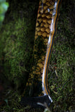 wasp hive and moss hawk